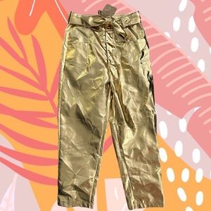Gold Pleather Pants